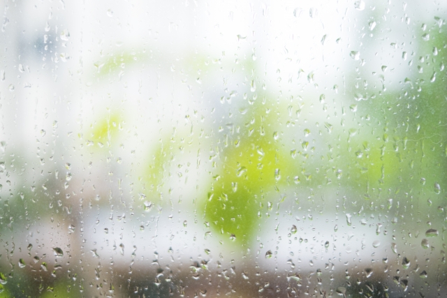 早い梅雨入り