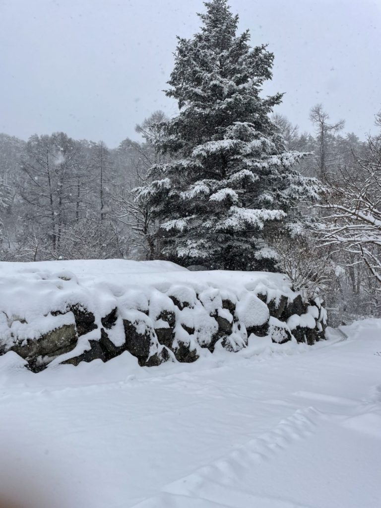 大雪